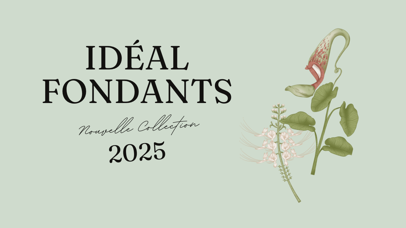 Collection 2025